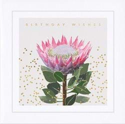 Whistlefish Cards
