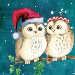 Christmas Owls - Personalised Christmas Card