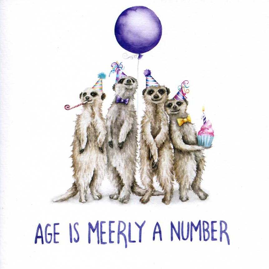 Age is Meerly a Number Birthday Card