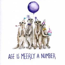 Age is Meerly a Number Birthday Card