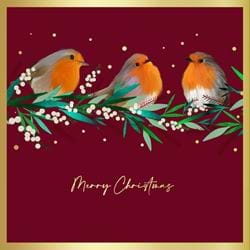 Robins and Holly - Personalised Christmas Card