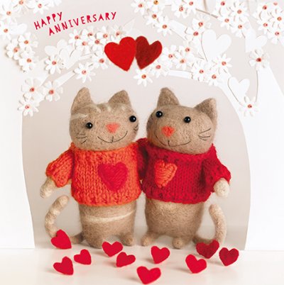 Cat Anniversary Card