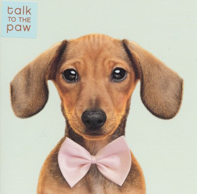 Bowtie Pup Greeting Card