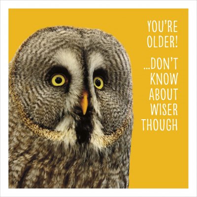 You're Older Birthday Card