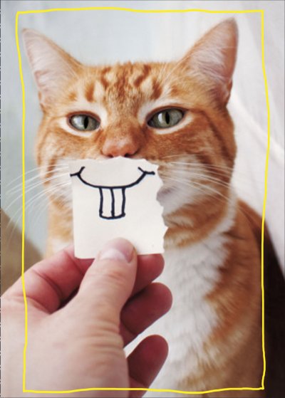 Ginger Smile Birthday Card