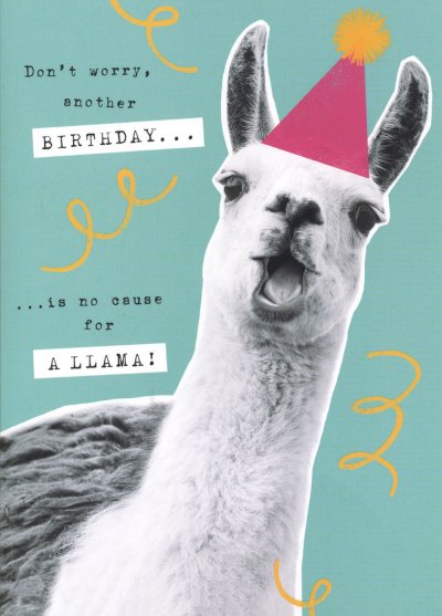 A Llama Birthday Card