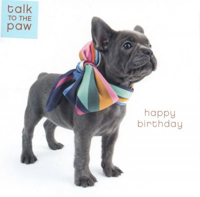 Colourful Bow Birthday Card