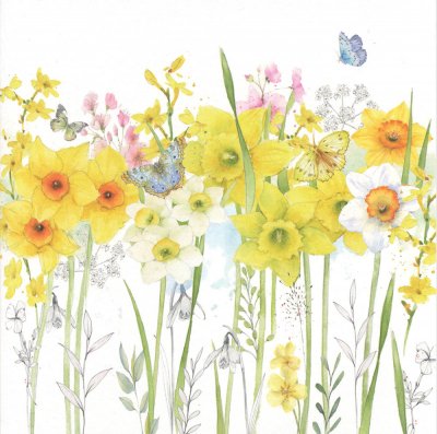 Spring Flowers Greeting Card