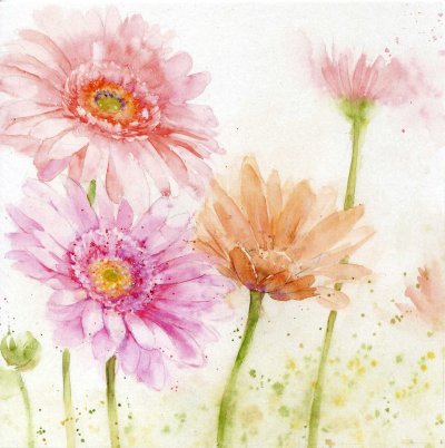 Gerbera Greeting Card
