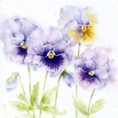 Pansies Greeting Card