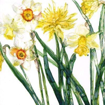 Narcissus Greeting Card