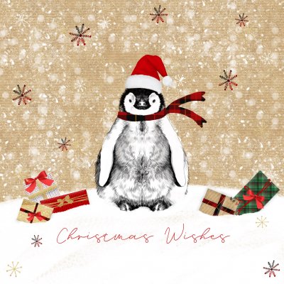 Christmas Penguin MS UK Christmas Pack (10)