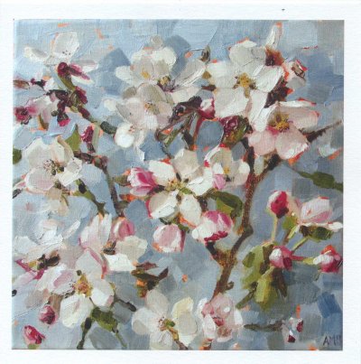 Apple Blossoms Greeting Card