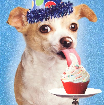 Yummy Cupcake Birthday Card