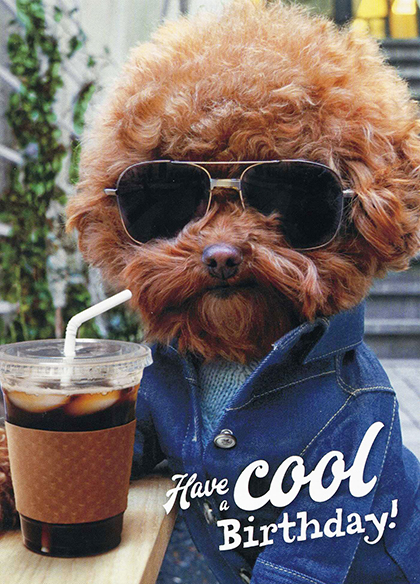 Cool Day Birthday Card
