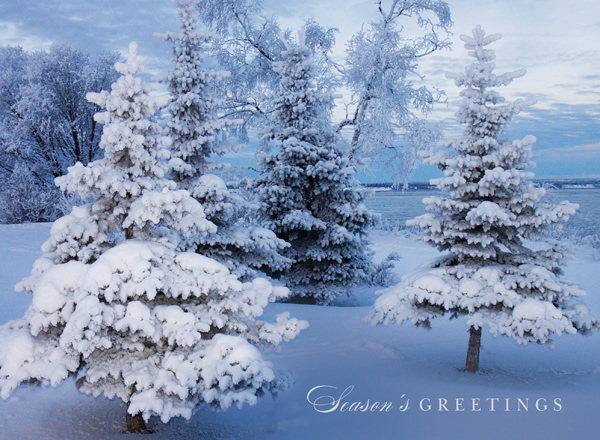 Winter Morning Personalised Christmas Card