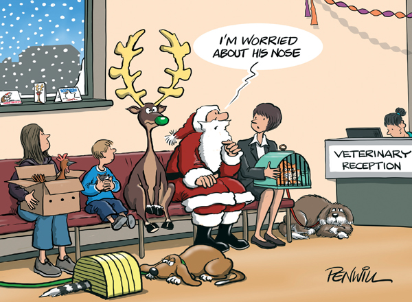 The Waiting Room Personalised Christmas Card