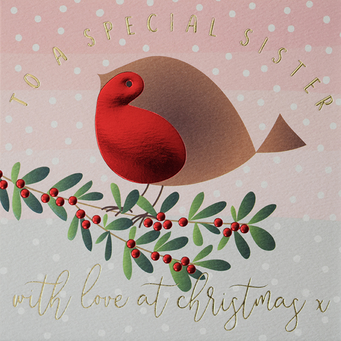 Robin Sister Christmas card