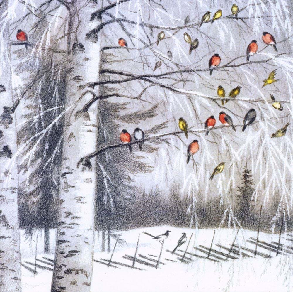 Woodland Birds Christmas Pack (5)