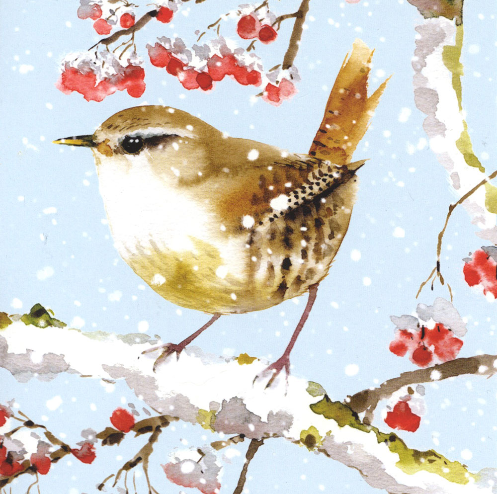 Wren Christmas Pack (8)