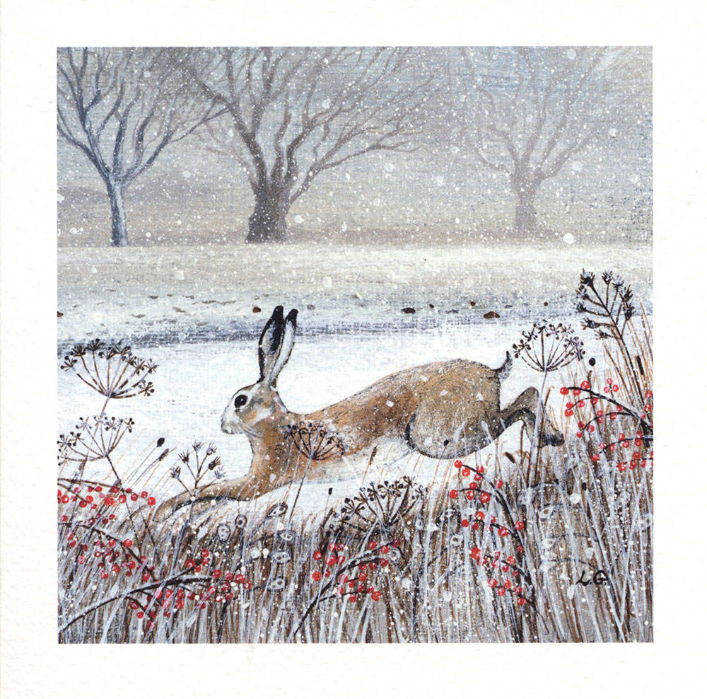 Leaping Hare Christmas Pack (8)