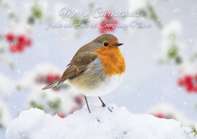 Robin in a Snowy Garden Personalised Christmas Card - Front Personalisation