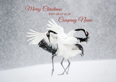 Dancing Cranes Personalised Christmas Card - Front Personalisation