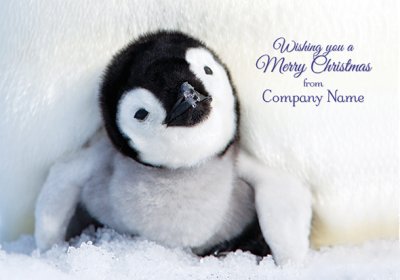 Emperor Chick Front Personalised Christmas Card