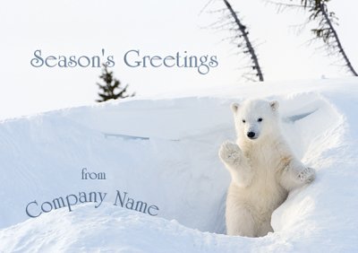 Festive Wave Front Personalised Christmas Card