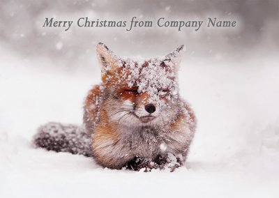 Taking a Break Front Personalised Christmas Card