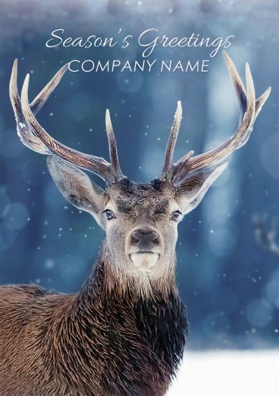 Noble Stag Front Personalised Christmas Card