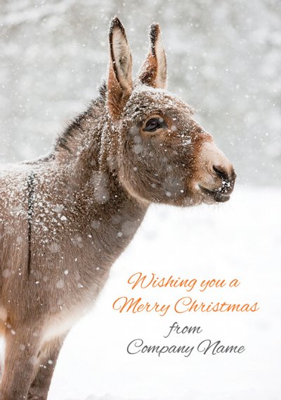 Miniature Donkey in Snow Front Personalised Christmas Card