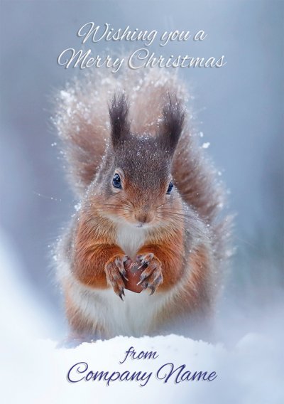 Red Squirrel in the Snow Personalised Christmas Card - Front Personalisation