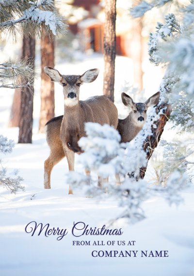 Winter Deer Front Personalised Christmas Card
