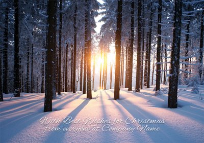 Between the Trees Front Personalised Christmas Card