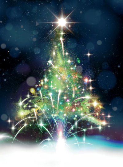 Firework Christmas Tree Personalised Christmas Card