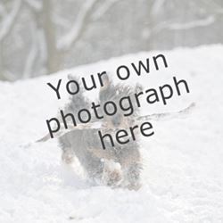 Your Own Square Photograph