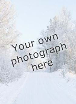 Your Own portrait Photograph