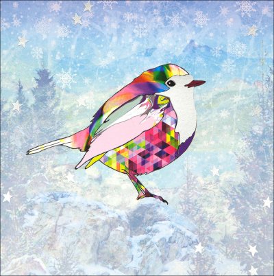 Robin Christmas Pack (5)