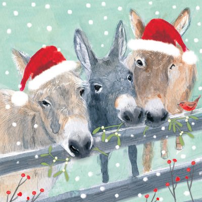 Over the Fence RSPCA Christmas Pack (10)