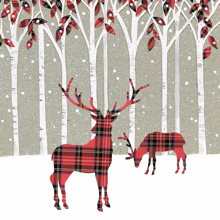 Highland Woods MSF Christmas Pack (10)