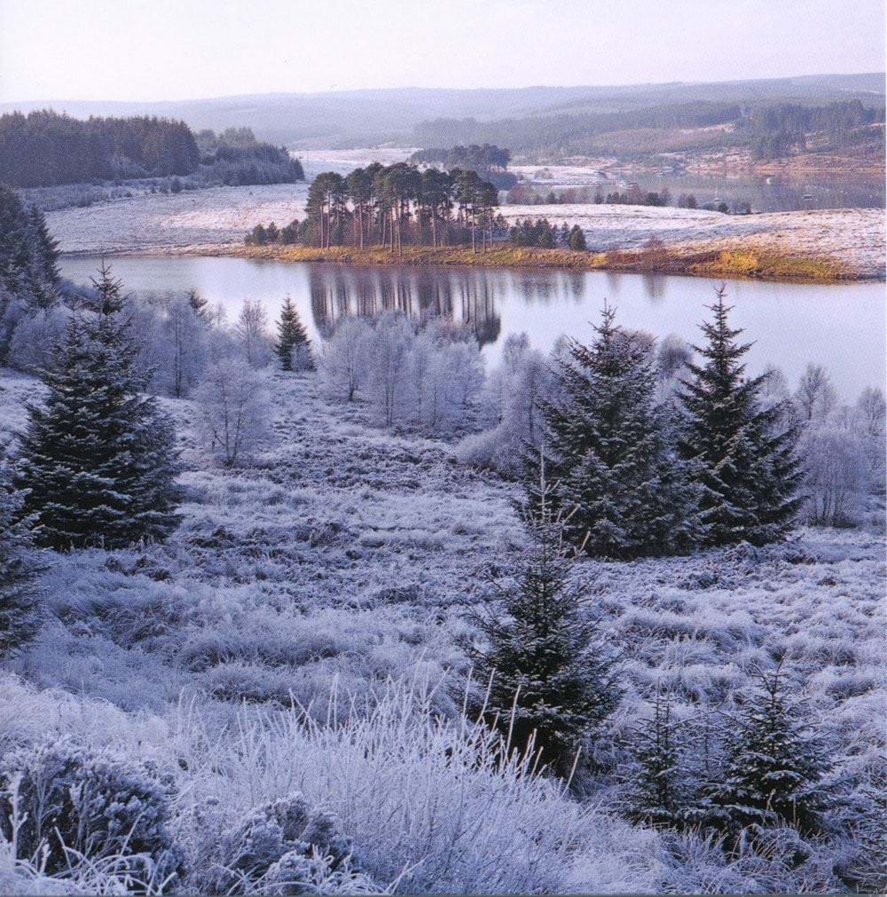 Kielder Water Forest Park Christmas Card Pack (10)