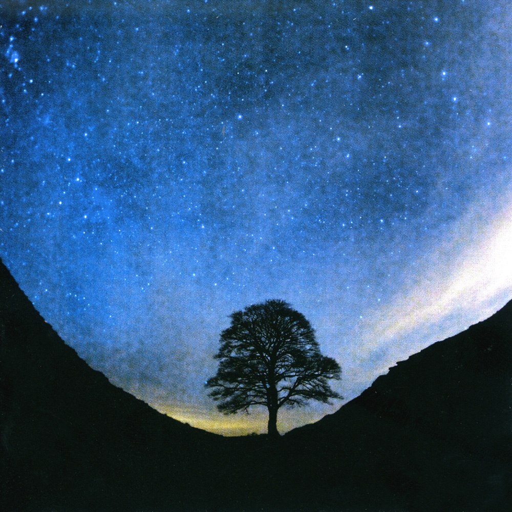 Sycamore Gap Christmas Card Pack (10)