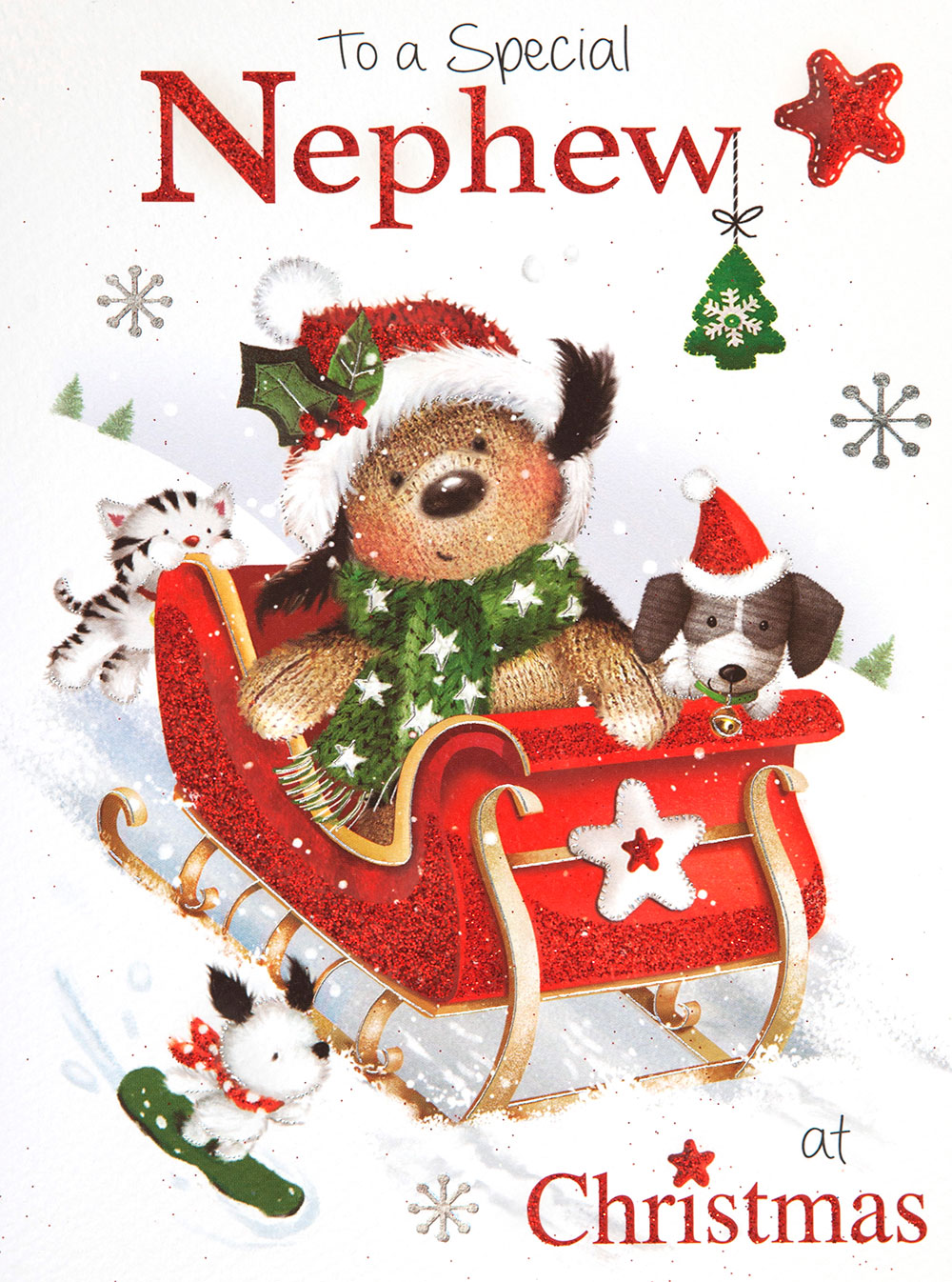 Sleigh Ride Nephew Christmas Card