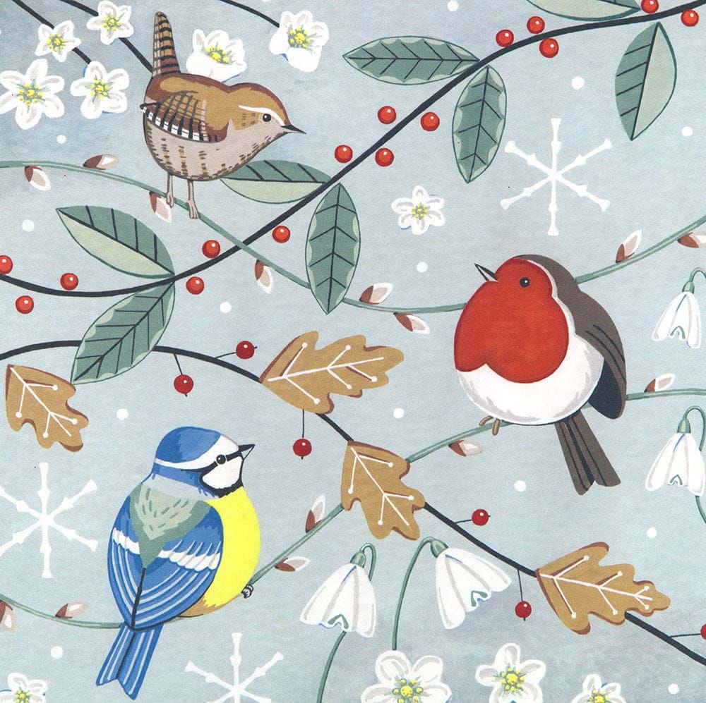 Garden Birds Christmas Card