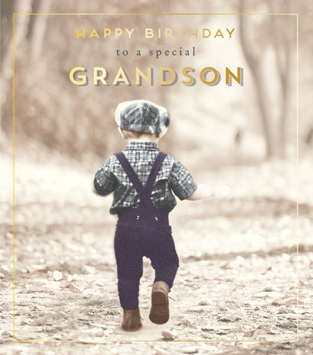 Special Grandson Birthday Card