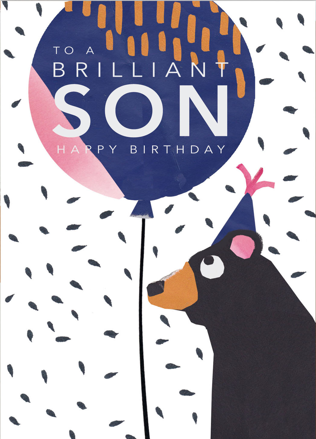 Brilliant Son Birthday Card