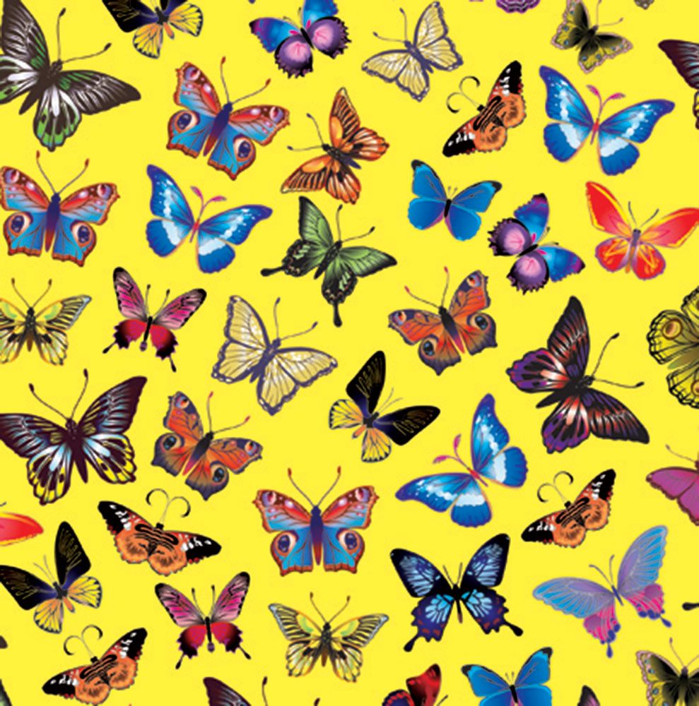 Spread Your Wings Birthday Card