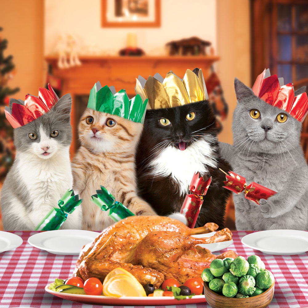 Cats Pulling Crackers Christmas Card Pack (10)