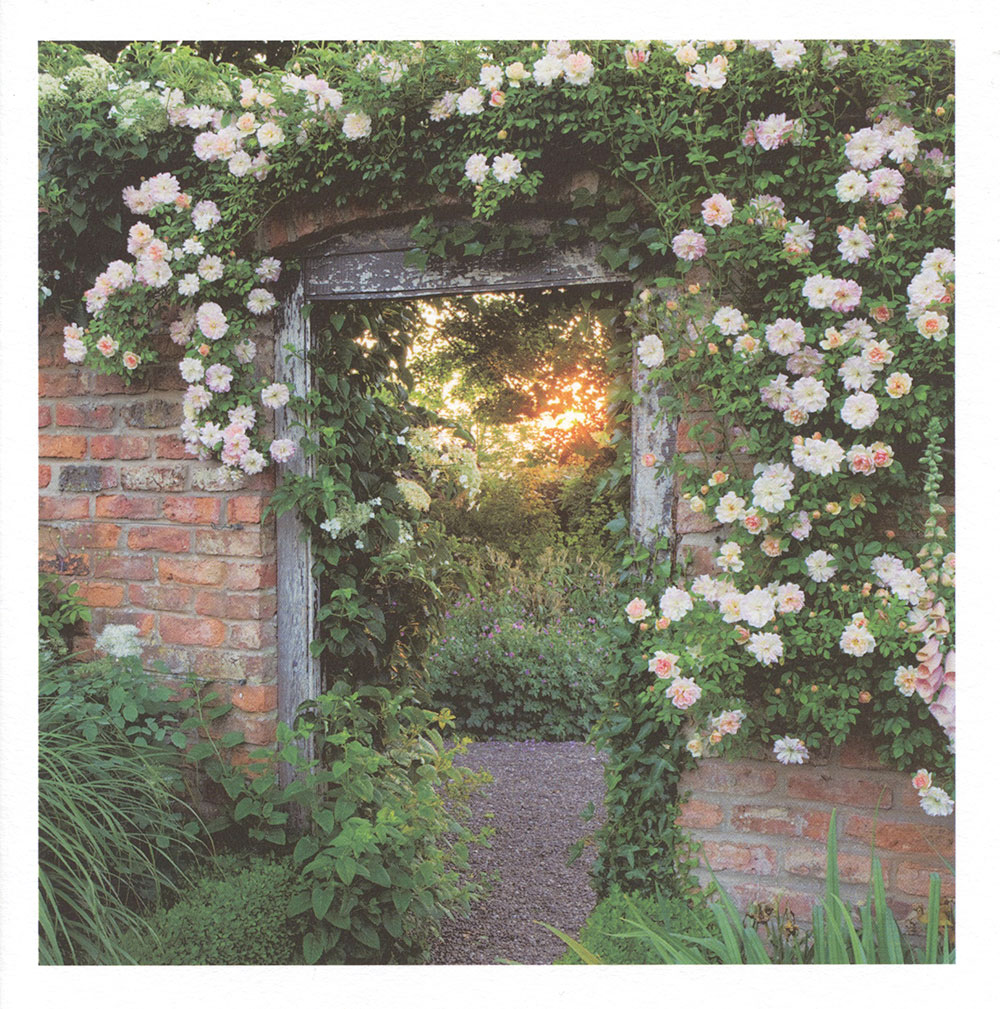 Croft Garden Greeting Card